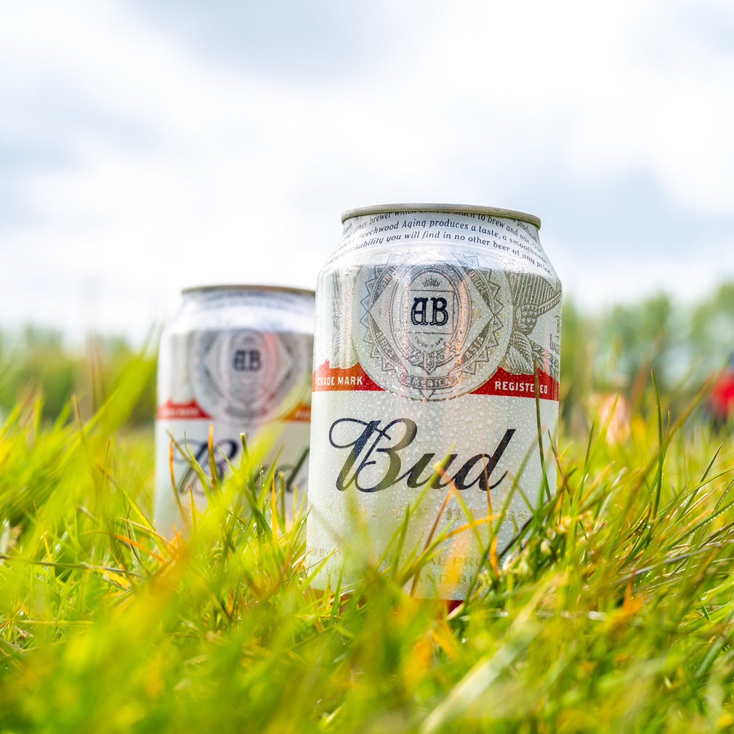 Food & Beverages image