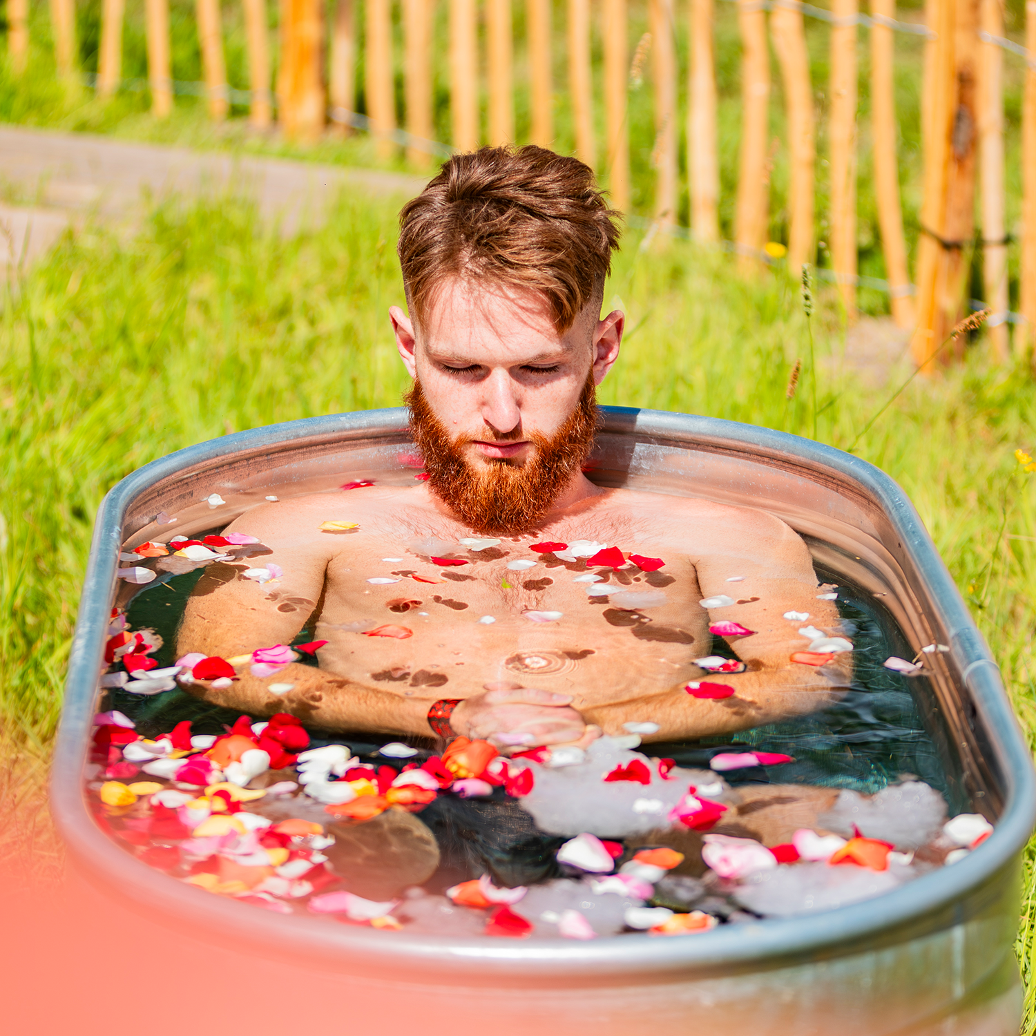 Discounted Experiences image